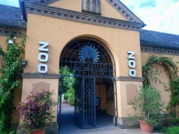 2022 Zoo Heidelberg